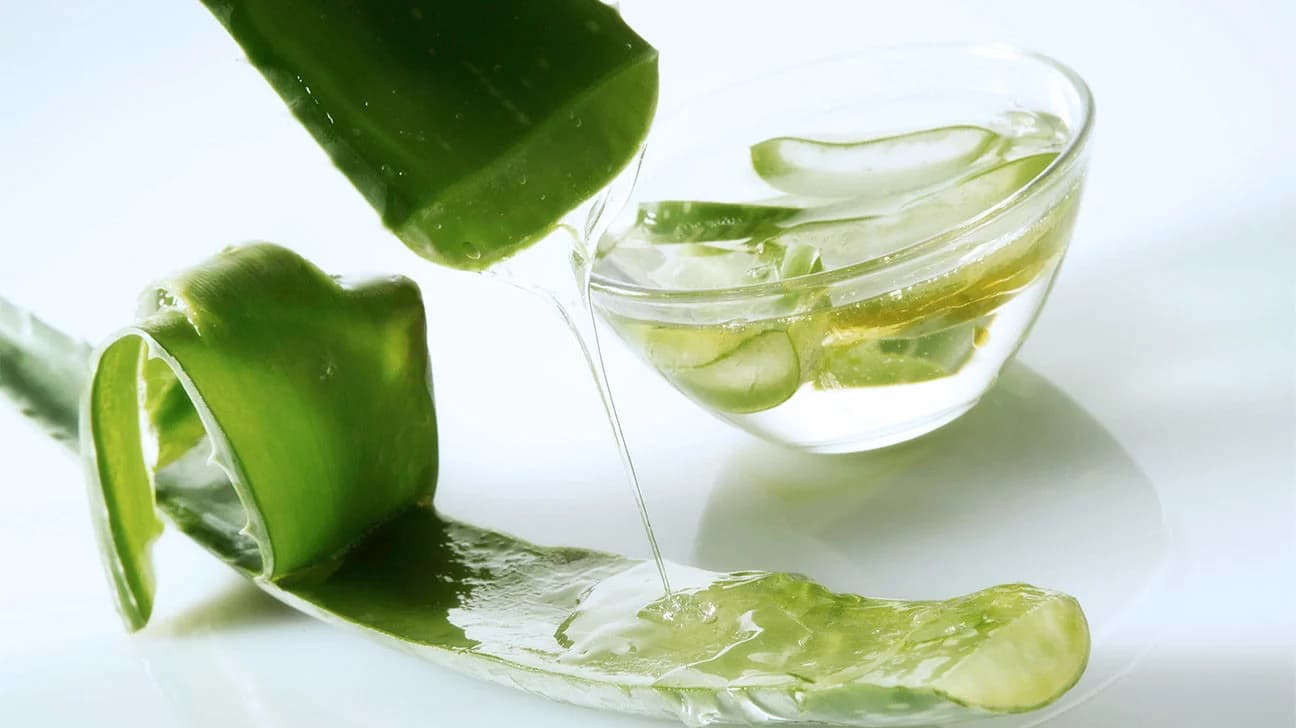 Forever Aloe Vera Gel: Ein Geschenk der Natur für Wohlbefinden und Vitalität