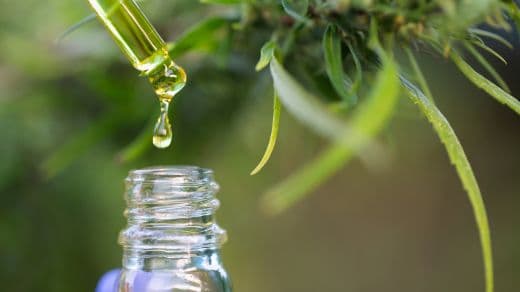 CBD-Öl: 3 wissenschaftlich belegte Vorteile