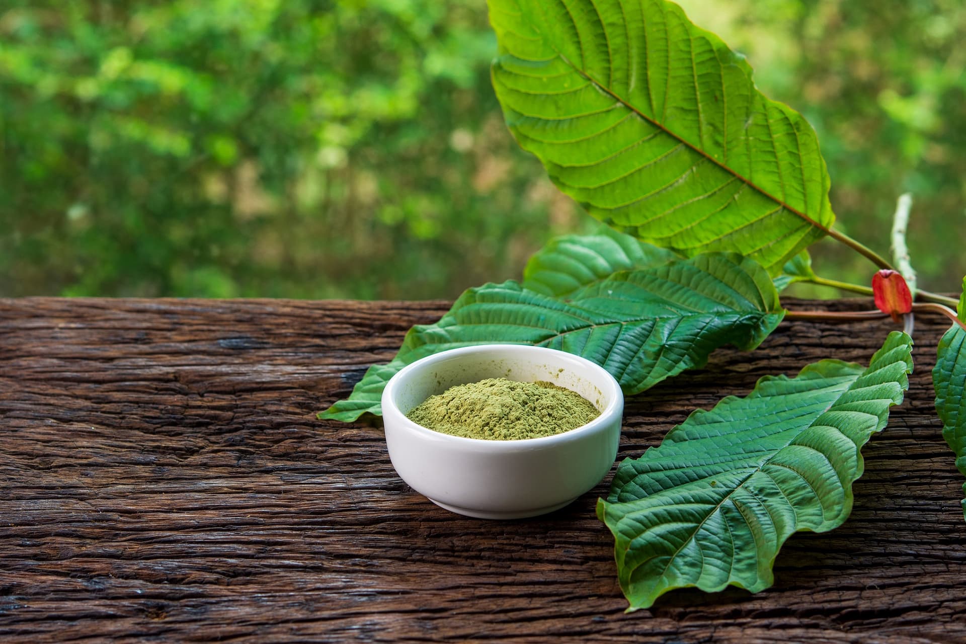 Was macht einen seriösen Kratom-Anbieter aus?