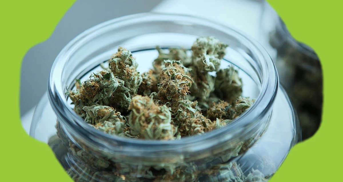 Cannapot: Dein Onlineshop für feminisiertes Weed