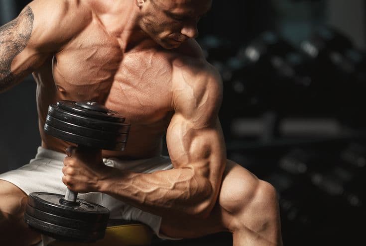 Trainingsboost deluxe: Angel dust booster als Geheimwaffe
