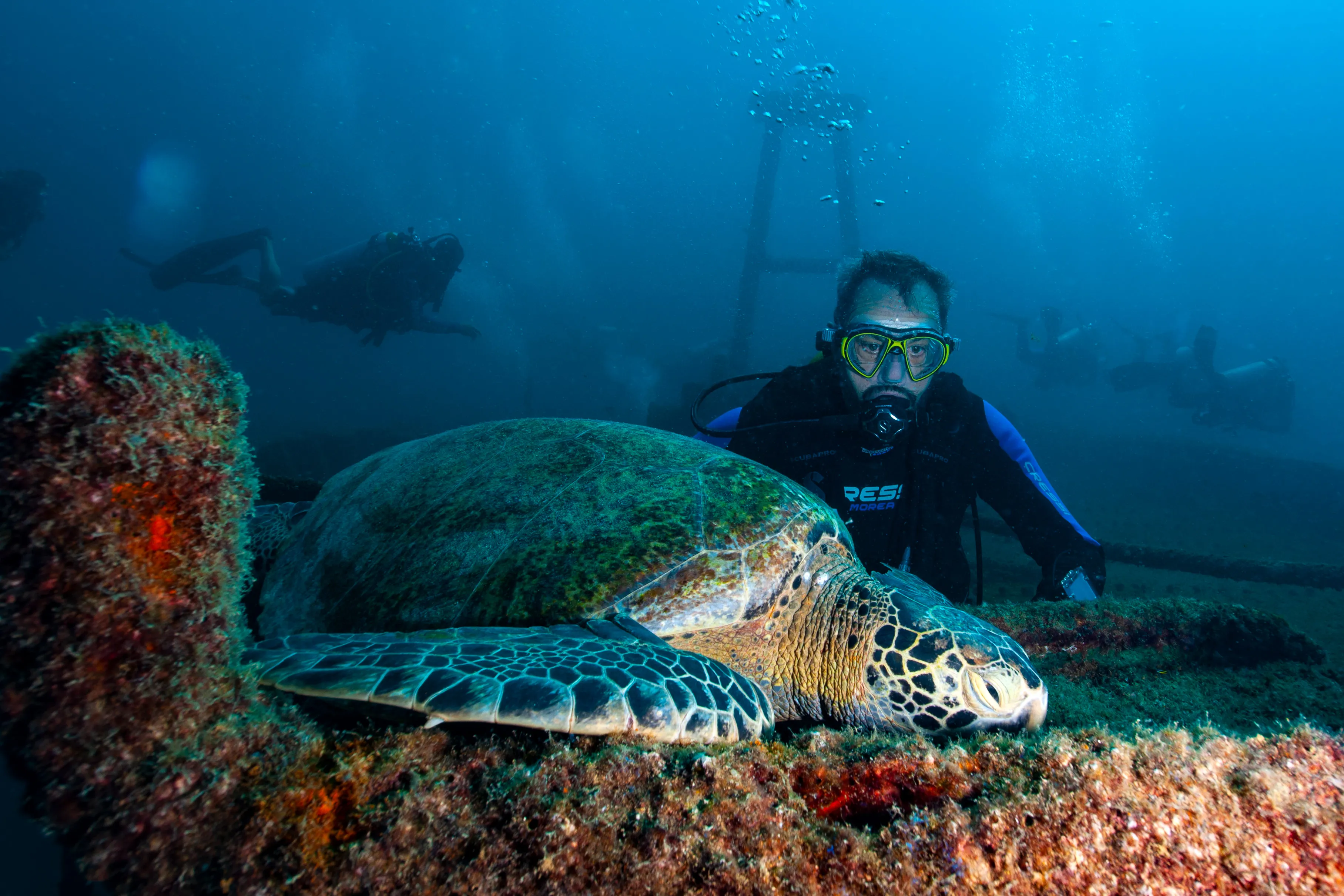 Dive Center Mexiko: Perfekte Tauchkurse für Anfänger und Profis